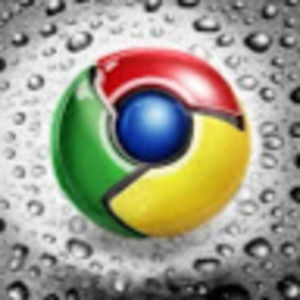 Meet your Posher, Calvin